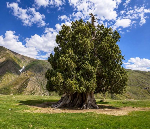 فضای آفتابی