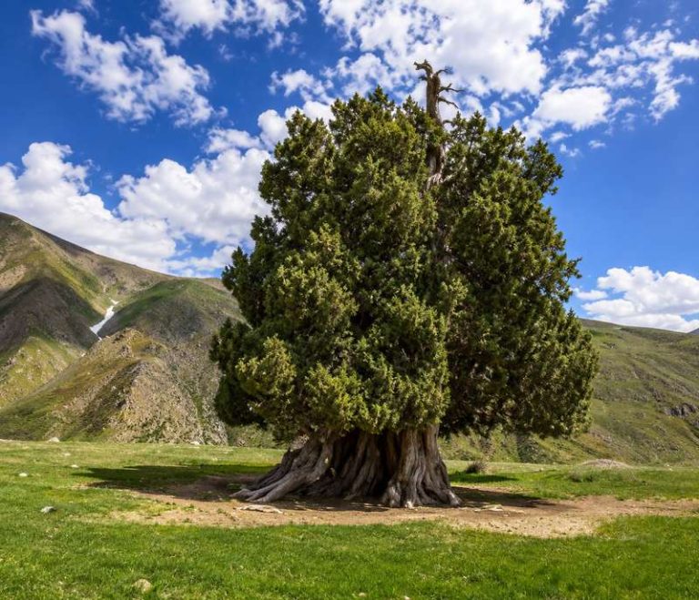 فضای آفتابی