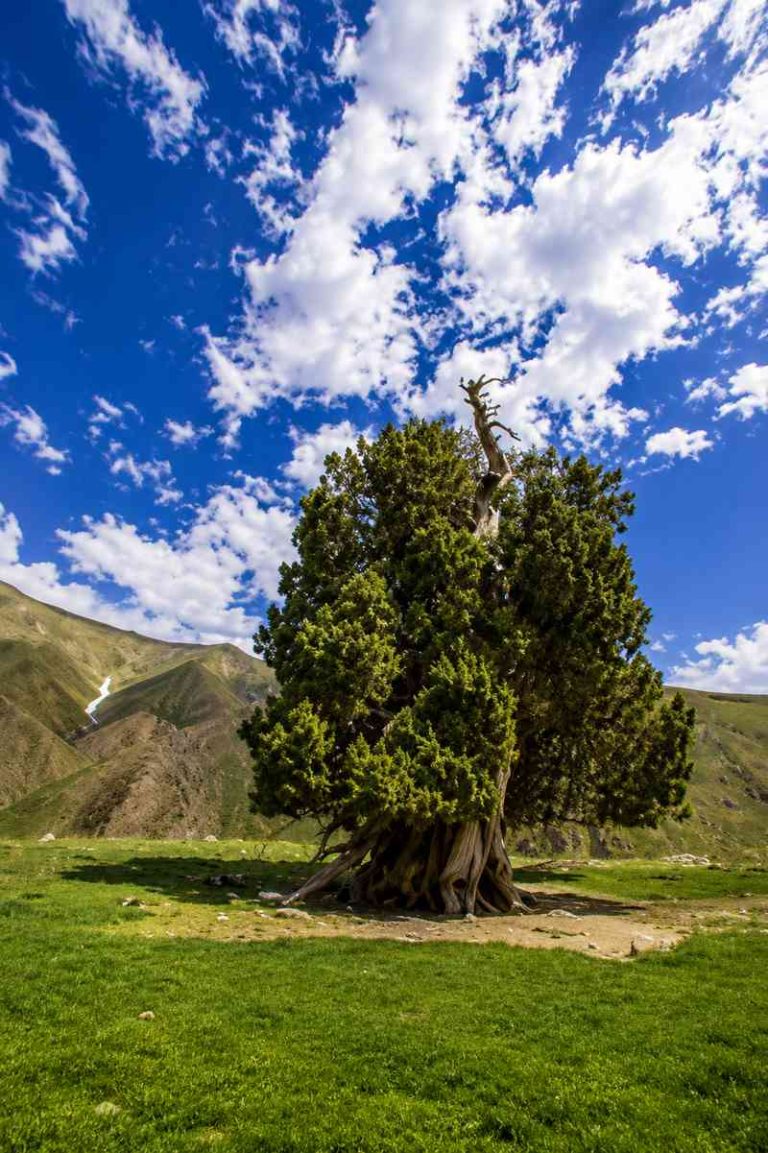 چشم انداز طبیعی