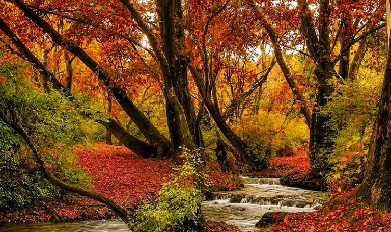 رودخانه پائیزی نمای دیگر