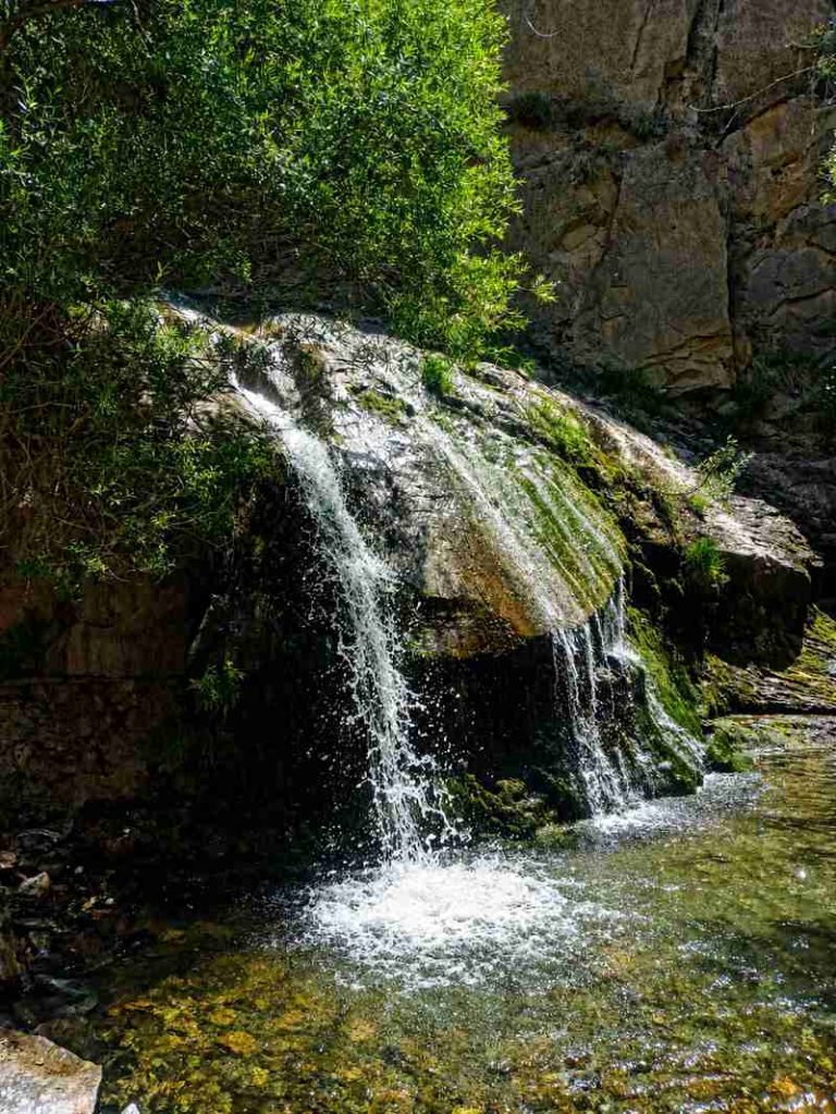صخره خزه ای