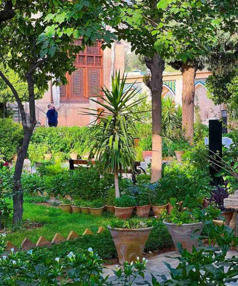 فضای سرسبز باغ
