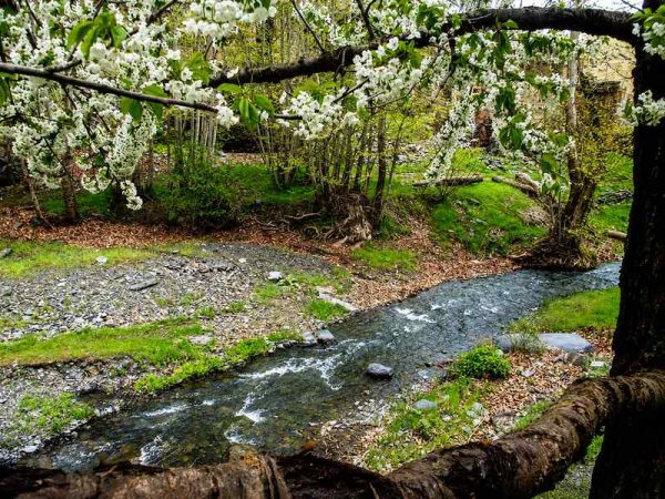 نمای بهاری