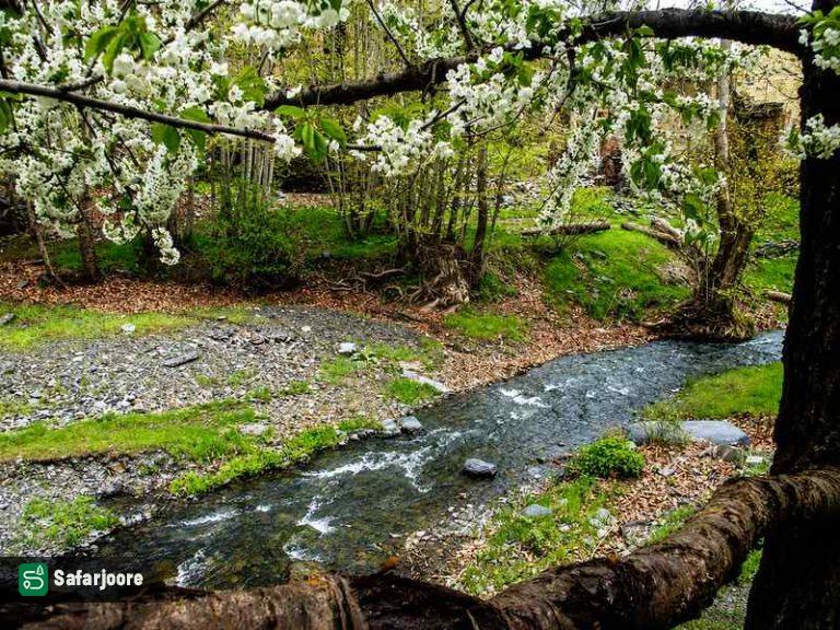 نمای بهاری