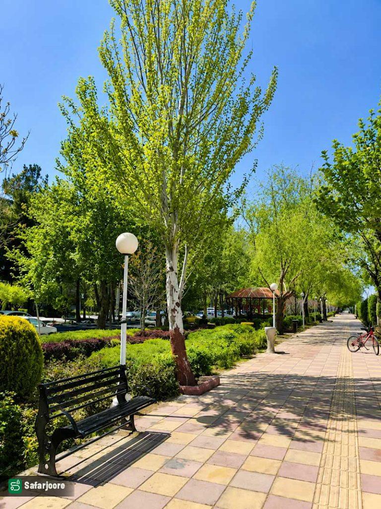 نمای ظهر