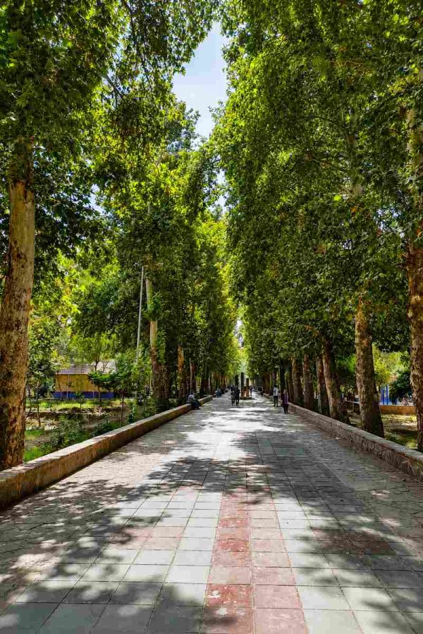 مسیر بهاری