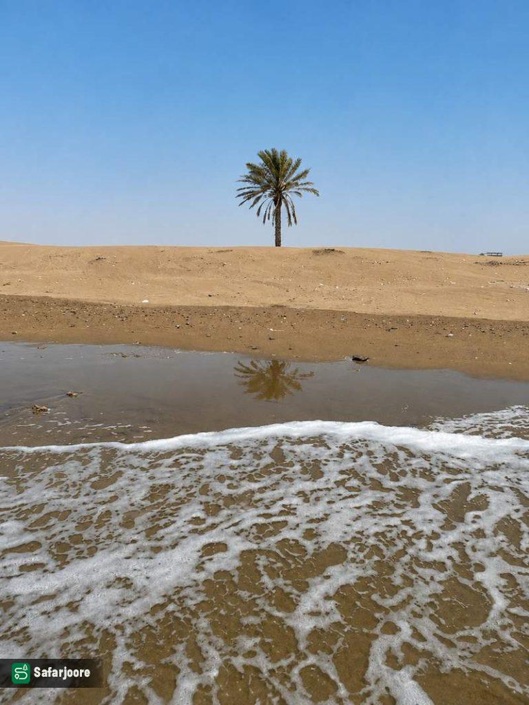 موج‌های شنی دریا
