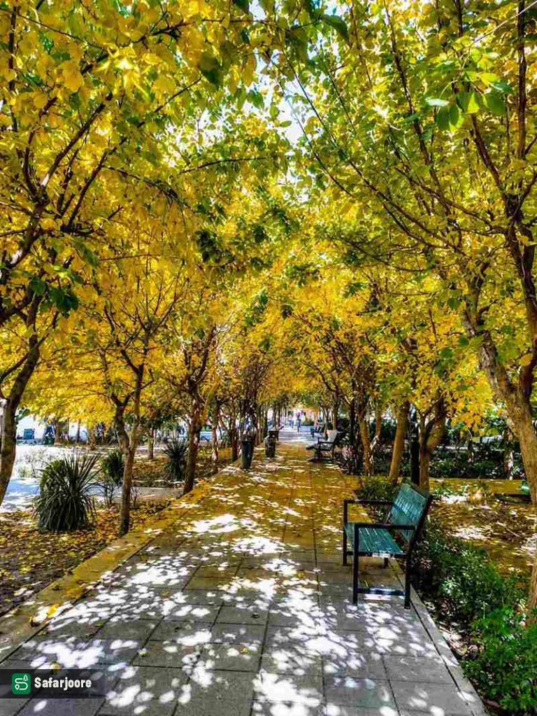تونل طلایی
