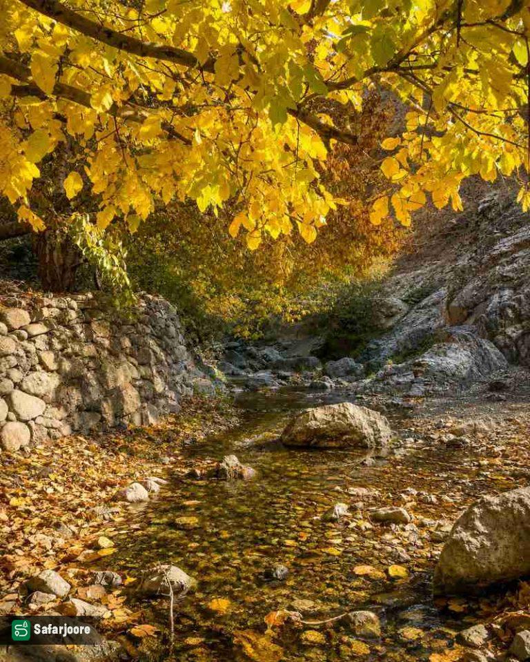 پاییز طلایی