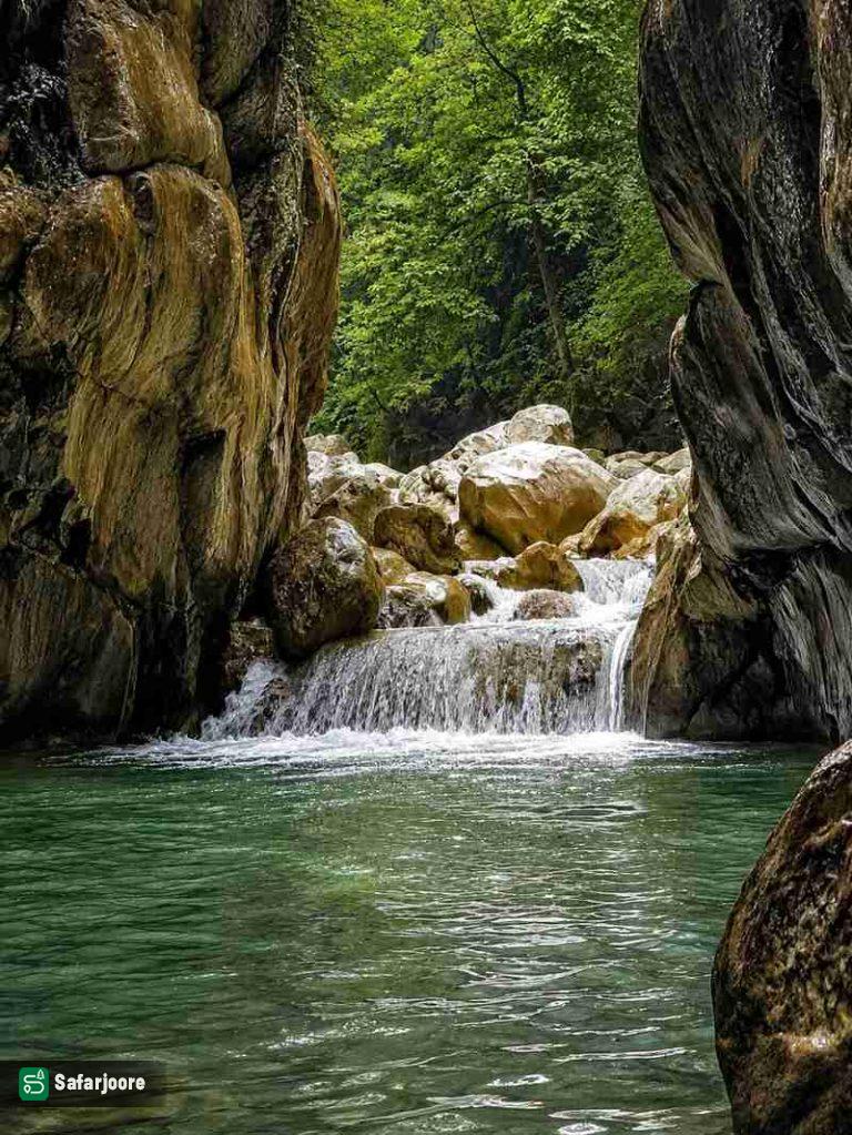 نمای آبشار جنگل
