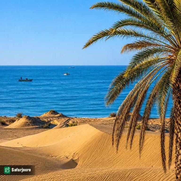 غروب ساحل درک