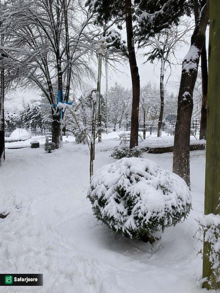 پارک نمای زمستانی
