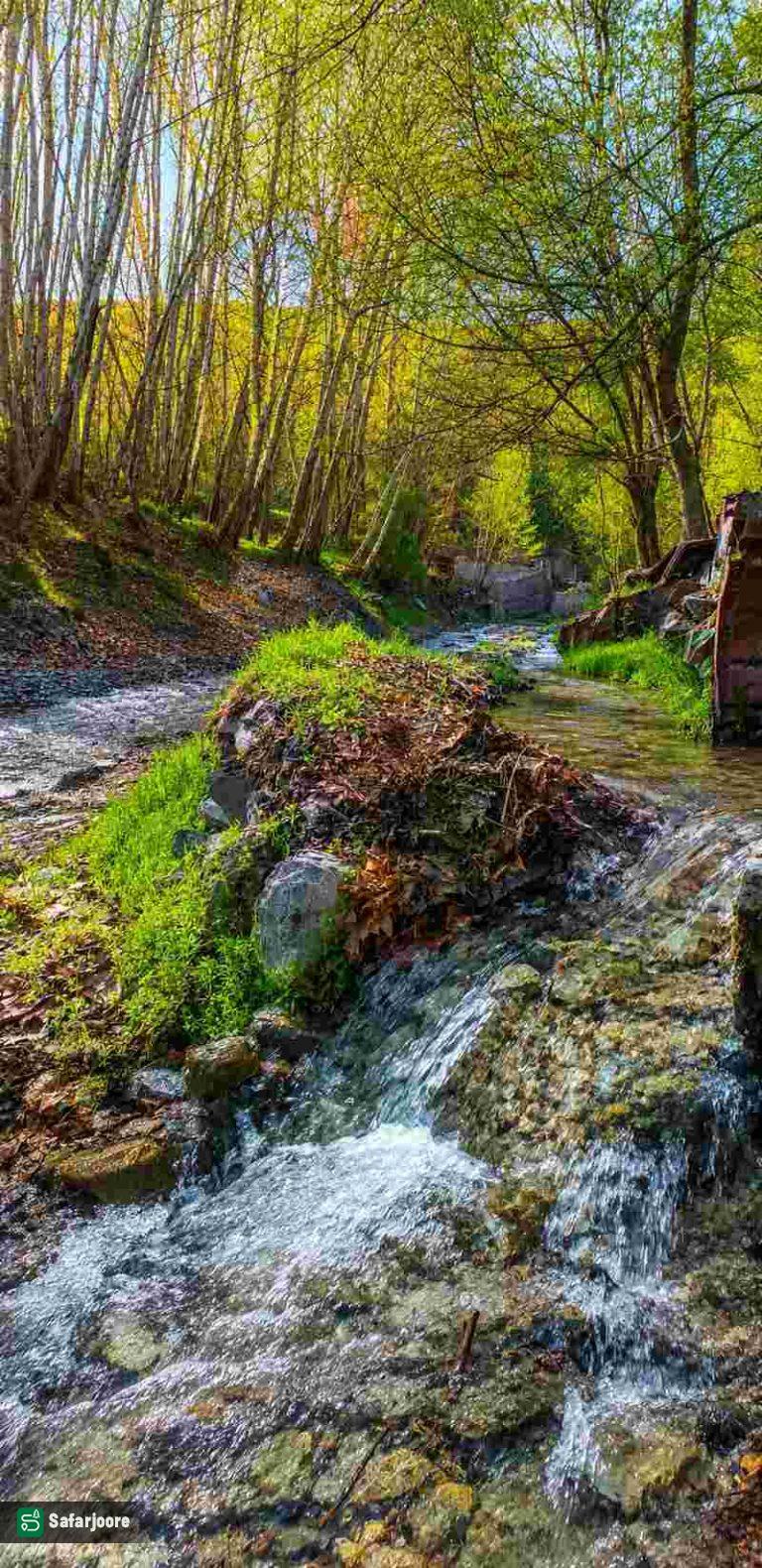 آبشار میان درختان