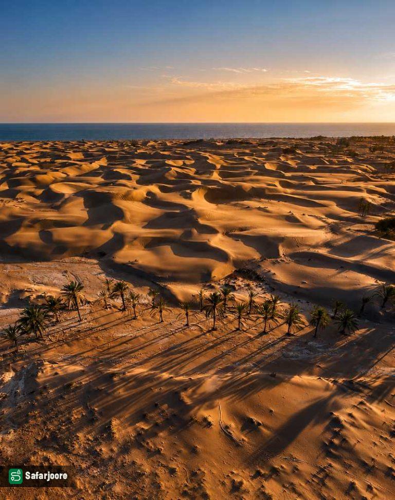 نمای بالا از شنزار ساحلی