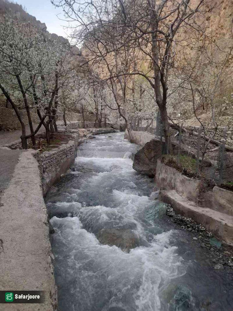 طبیعت رندان