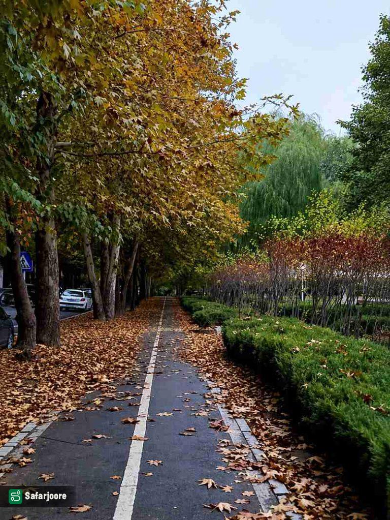 برگ ریزان پاییزی