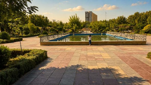 محیط پارک هامون