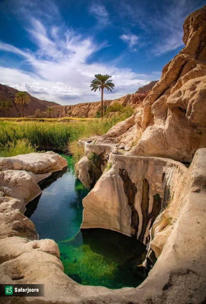 چشم‌انداز نخل تنها در کنار آبراهه