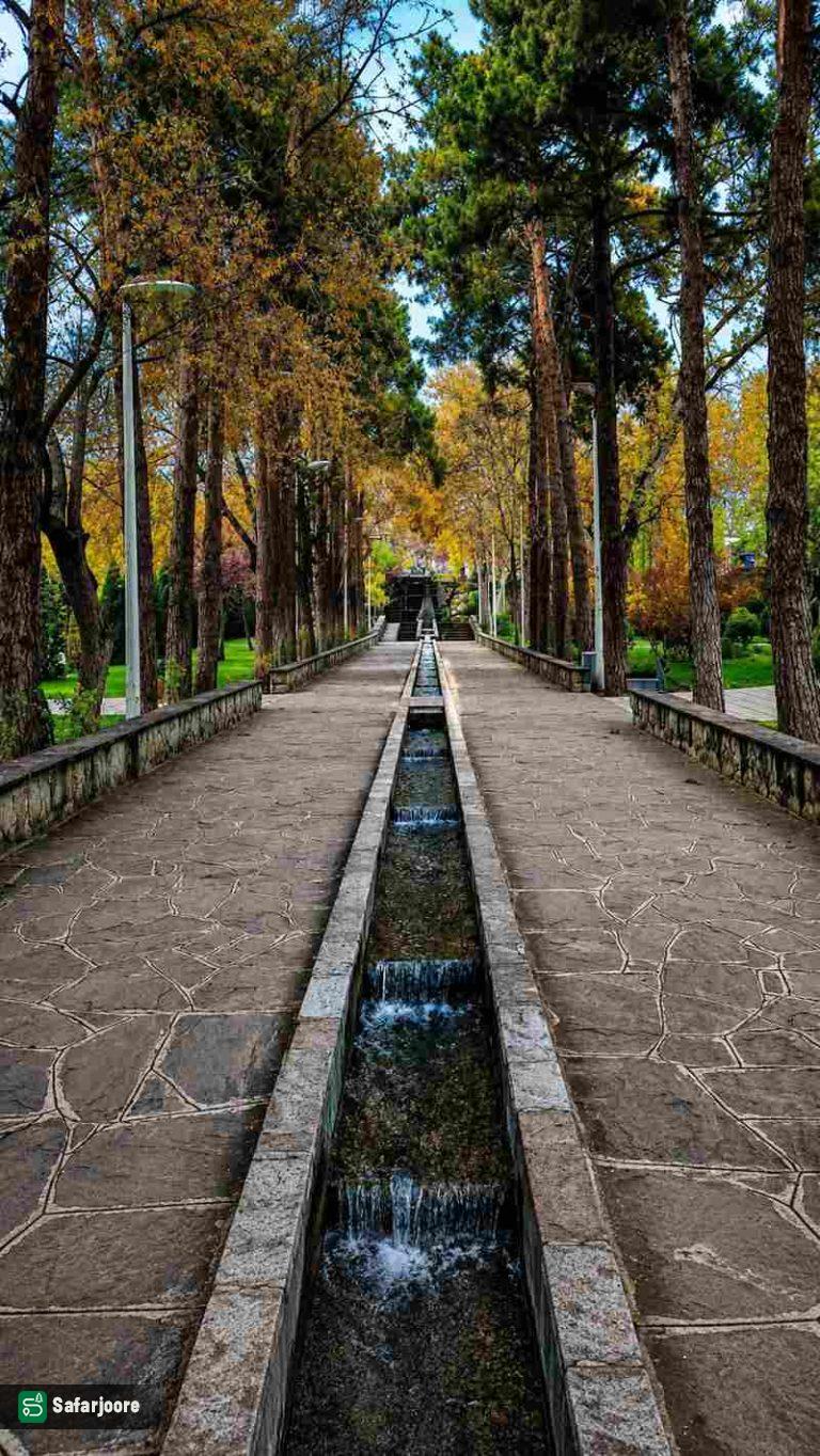 پیاده روی پاییزی