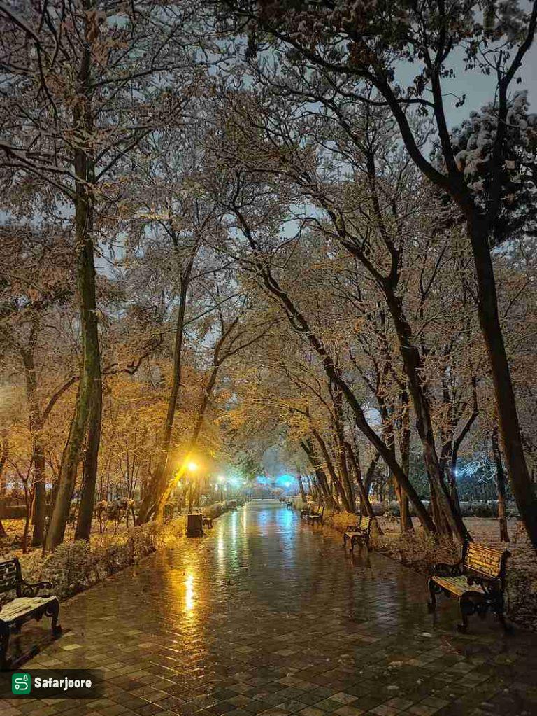 شب دل انگیز