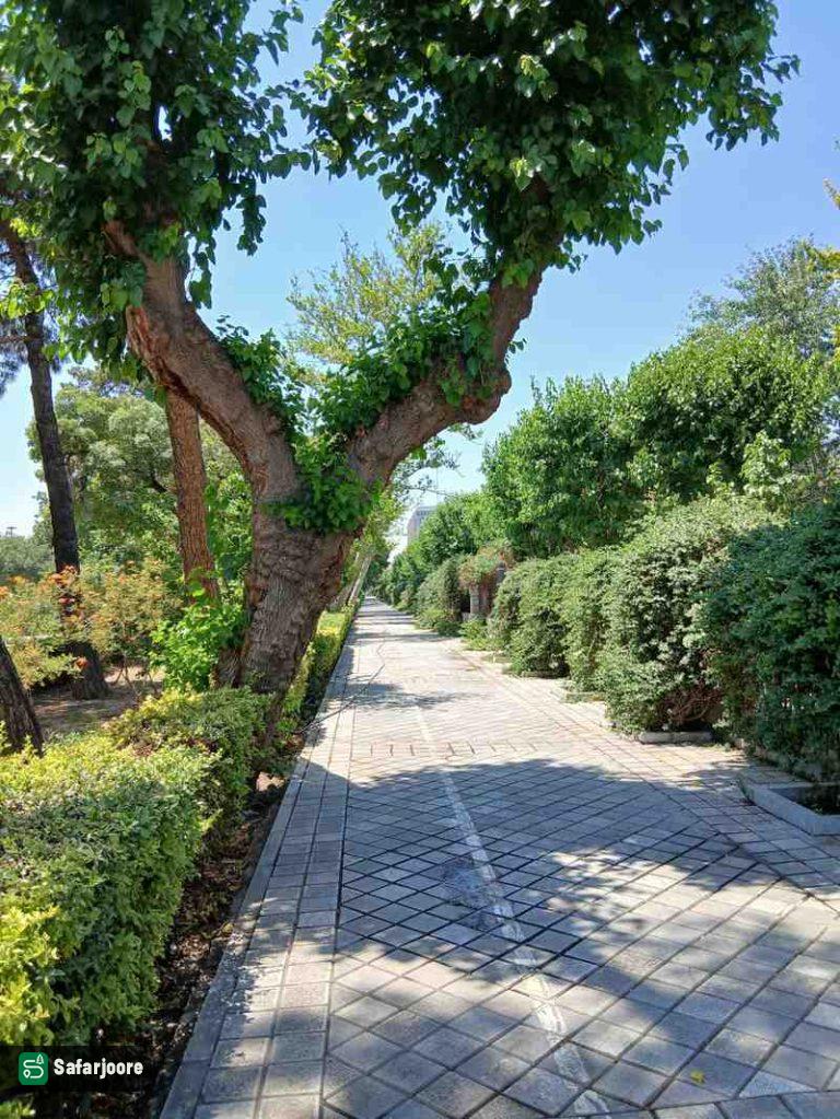 سرسبز دلنشین
