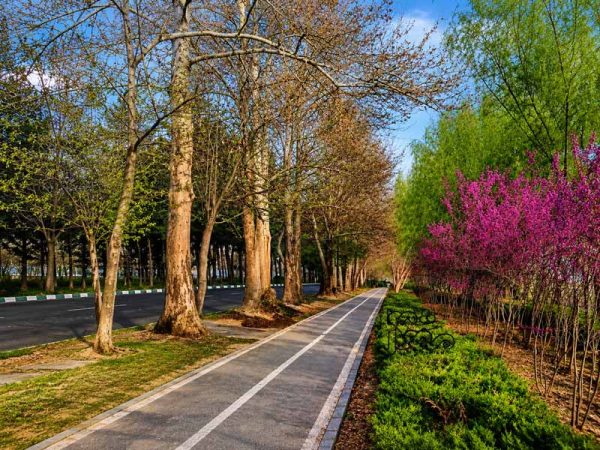 نمای دیگر مسیر دوچرخه سورای
