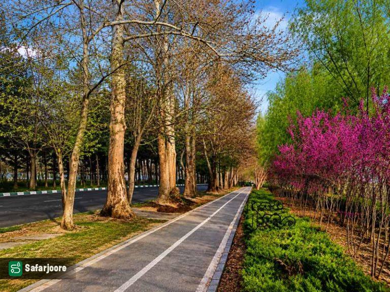 نمای دیگر مسیر دوچرخه سورای