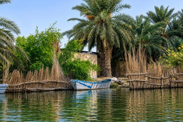 نمای دیگر رود و روستا