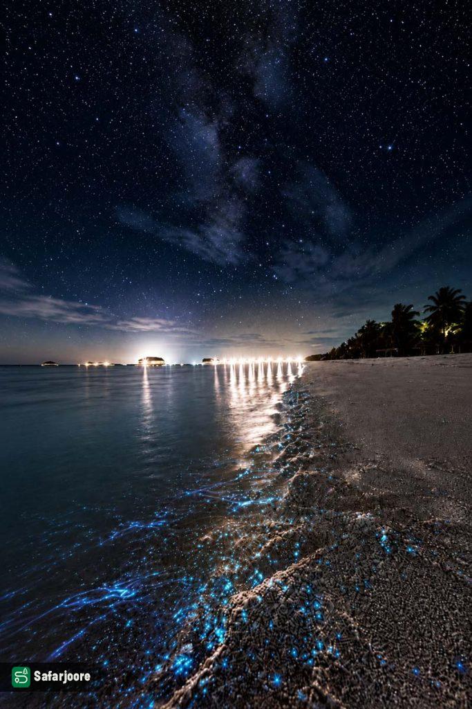 نمای شب ساحل