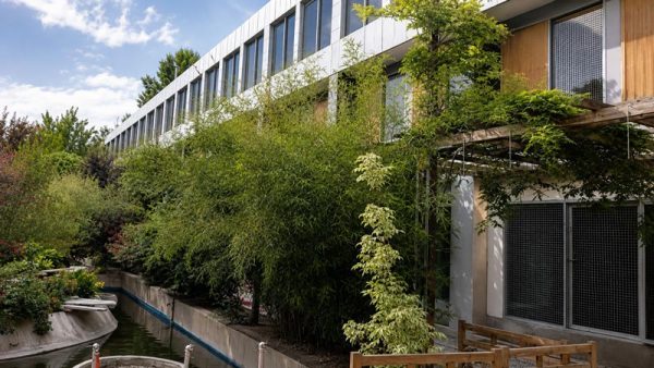 نمای ساختمان