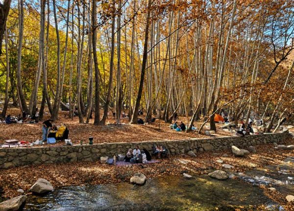 نمای رودخانه و درختان