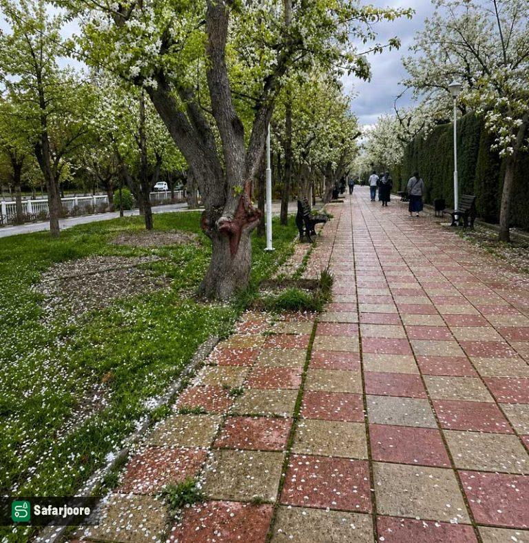 مسیر دوچرخه سورای در بهار
