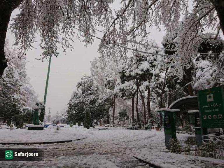 زمستان دل انگیز