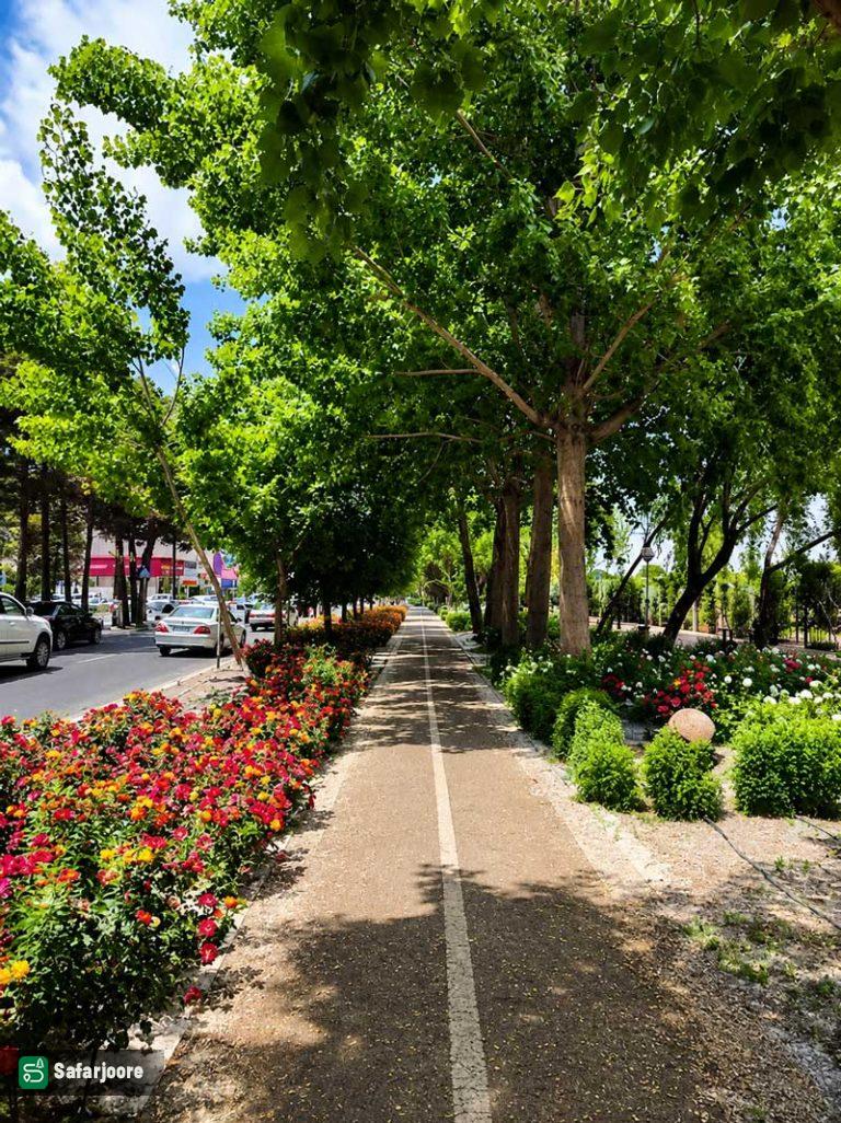 نمای دیگر مسیر دوچرخه سورای در بهار