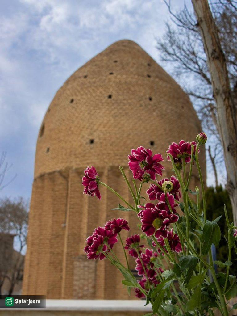 منظره گل و بنا