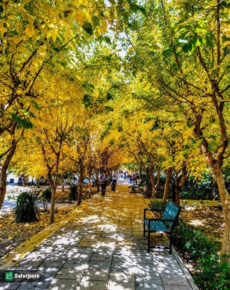 نمای دیگر مسیر دوچرخه سورای در پائییز