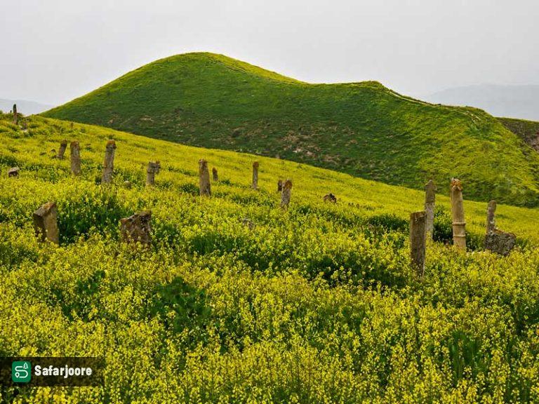 قربستان در بهار
