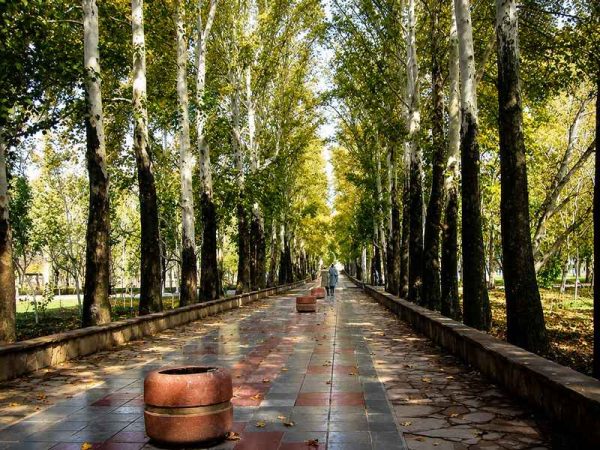 مسیر دلنشین
