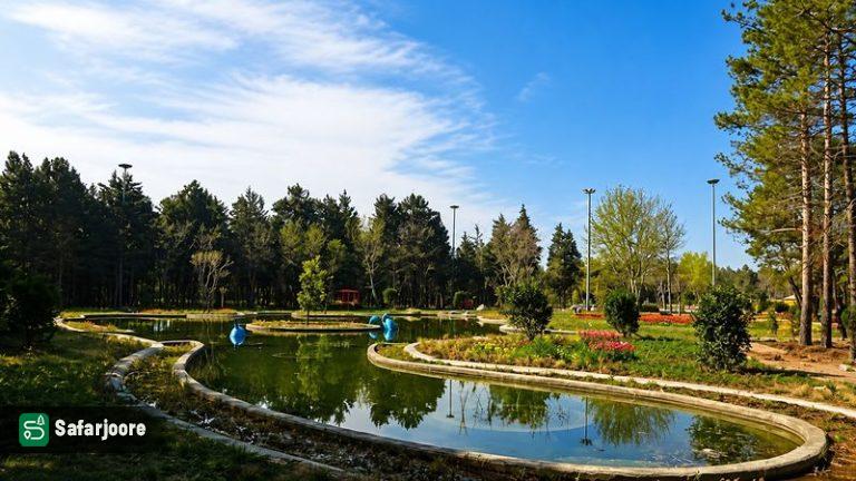 برکه آرام