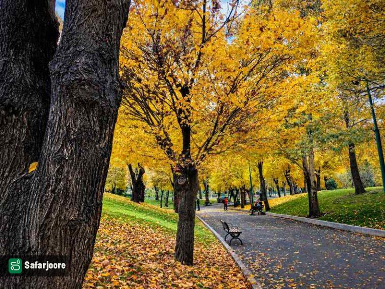 پاییز طلایی