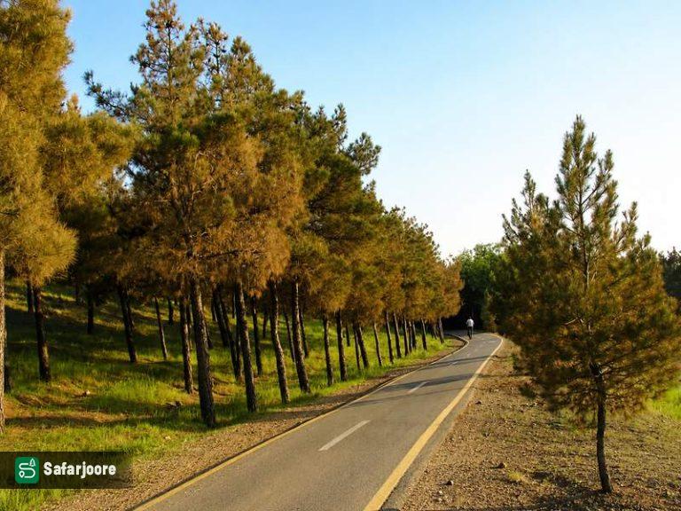 مسیر کاجستان