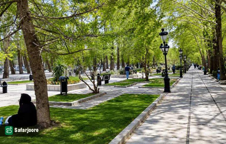 طبیعت آفتابی