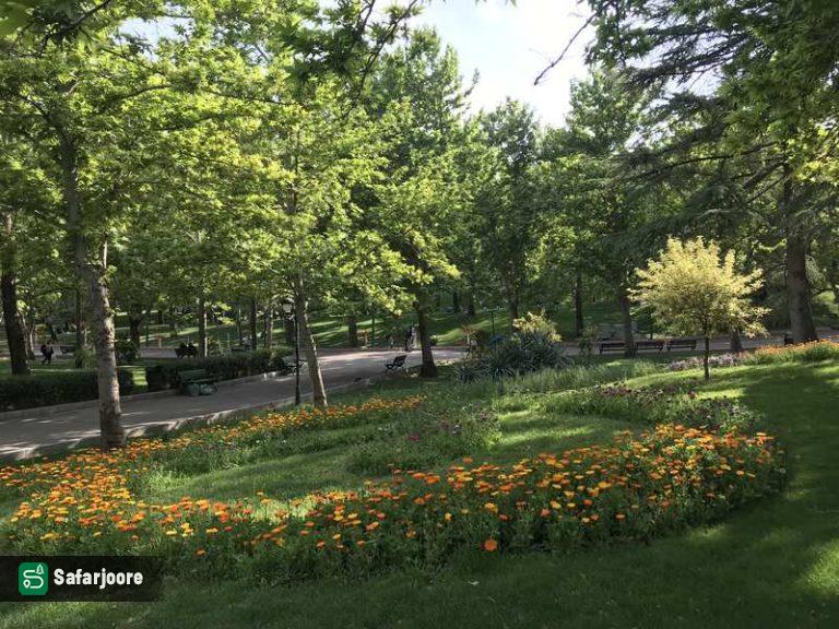 طبیعت با طراوت