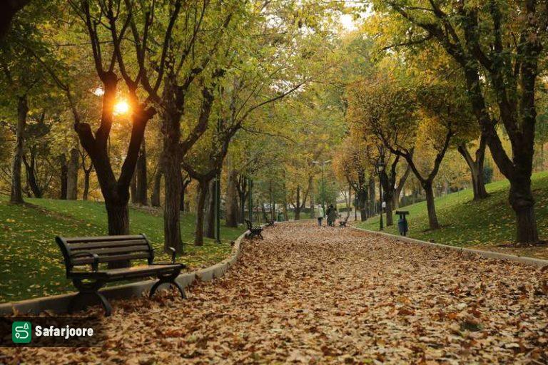 برگ ریزان پاییزی