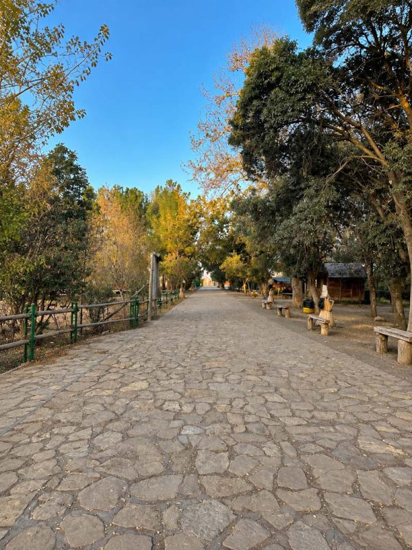 مسیر ورودی