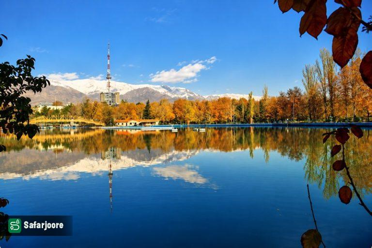 انعکاس طلایی